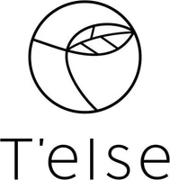 Логотип TELSE
